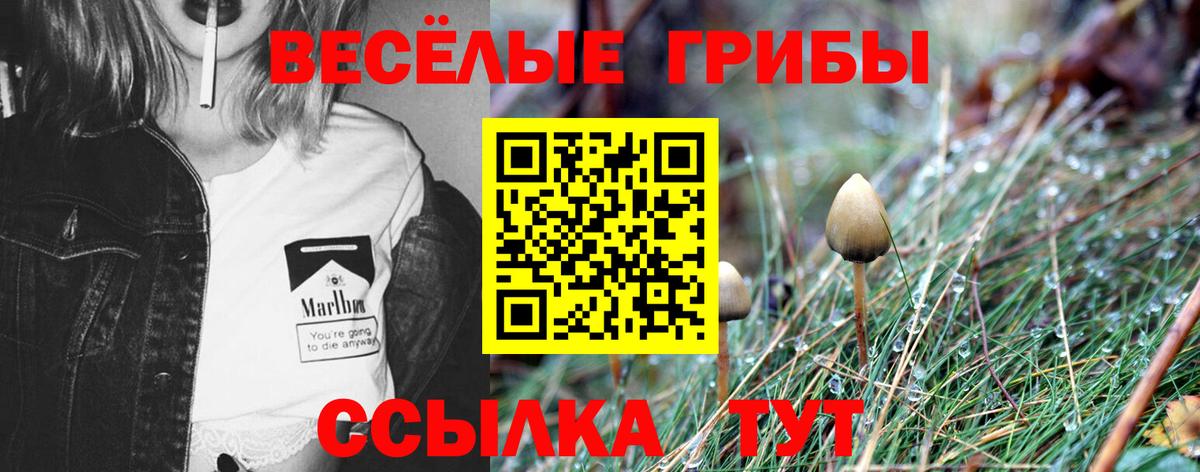 Псилоцибиновые грибы GOLDEN TEACHER  Вход с VPN  Среднеуральск 